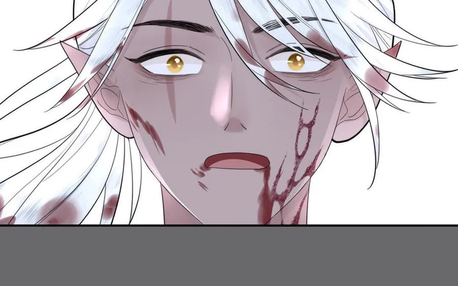 第15话 青鸾之墓 第19页