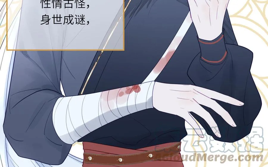 第33话 影卫训练第一天 第13页