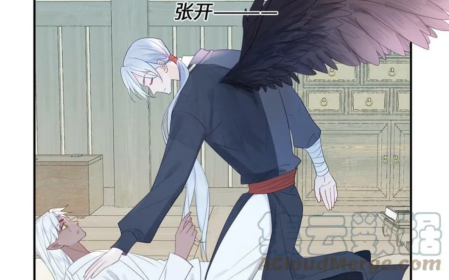第40话 捡到一只鹰 第4页