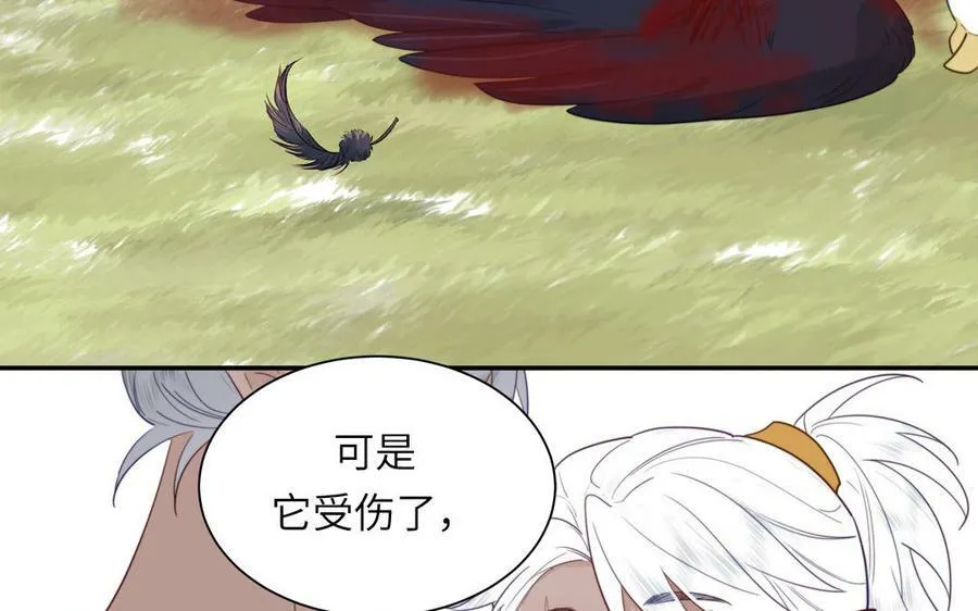 第40话 捡到一只鹰 第21页