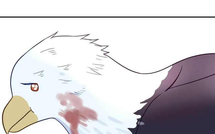 第40话 捡到一只鹰 第26页
