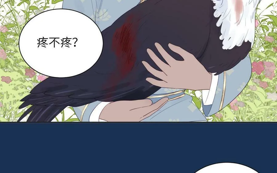 第40话 捡到一只鹰 第36页