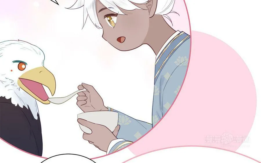 第40话 捡到一只鹰 第42页