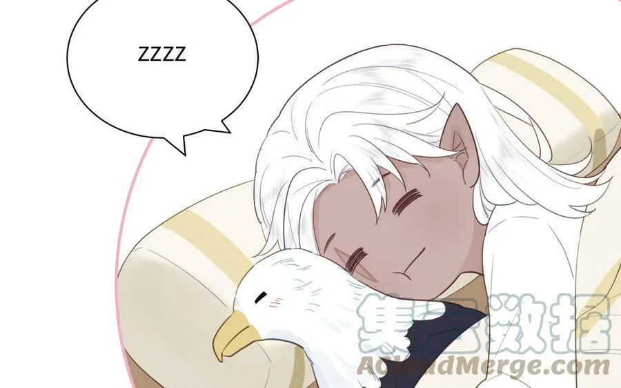 第40话 捡到一只鹰 第43页