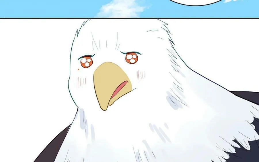 第40话 捡到一只鹰 第51页