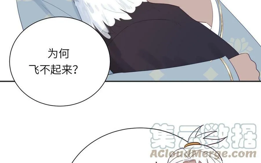 第40话 捡到一只鹰 第58页