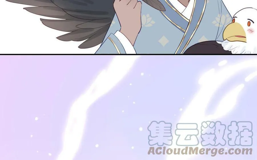 第40话 捡到一只鹰 第67页