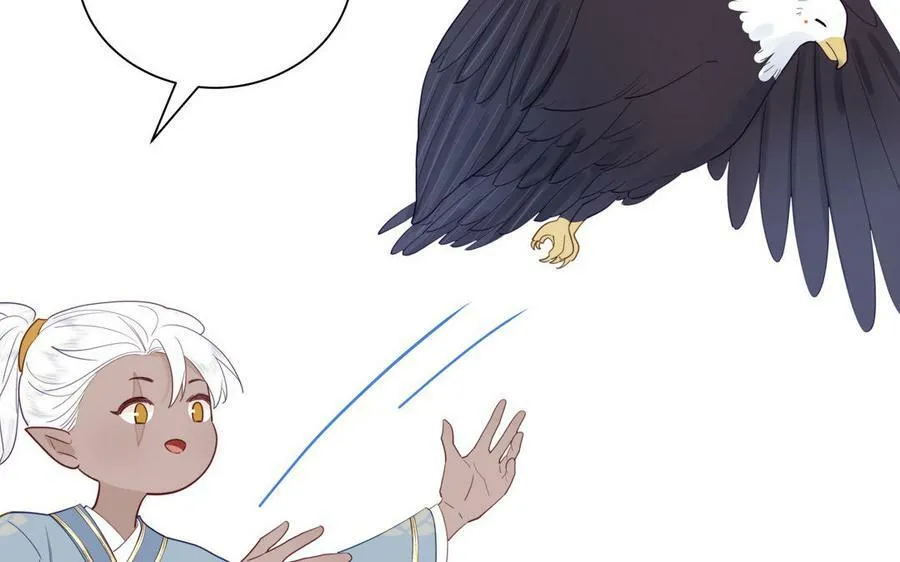 第40话 捡到一只鹰 第71页