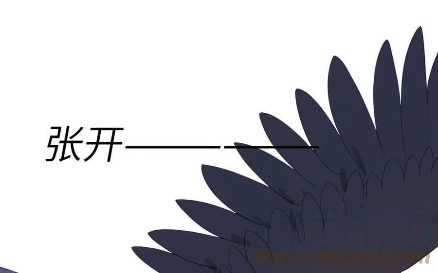 第40话 捡到一只鹰 第73页