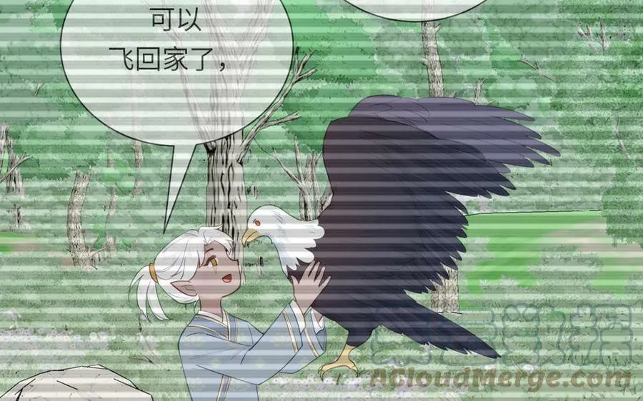 第45话 我愿你自由如风 第55页