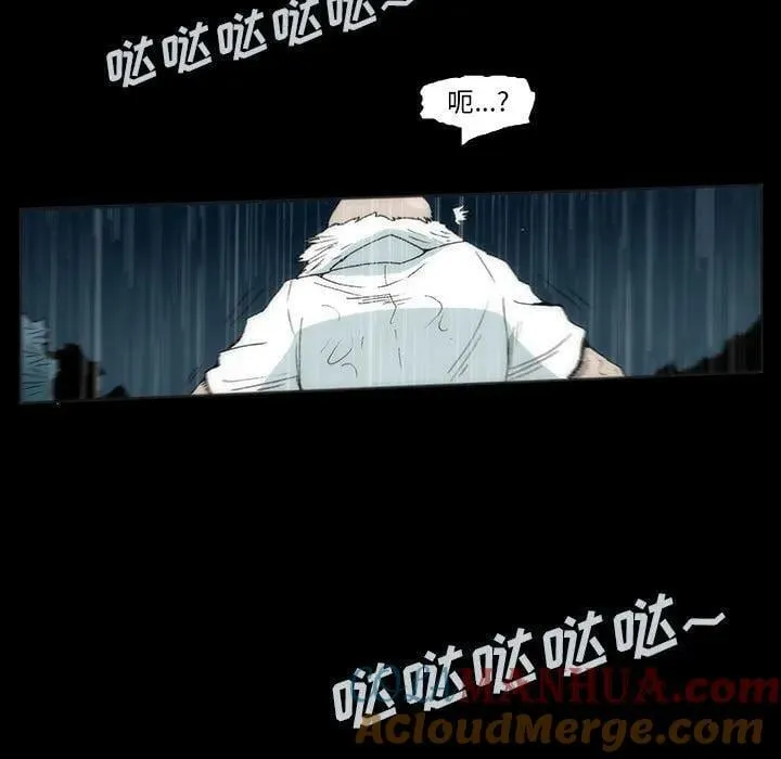 29 第61页