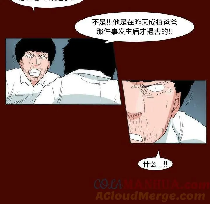 30 第37页