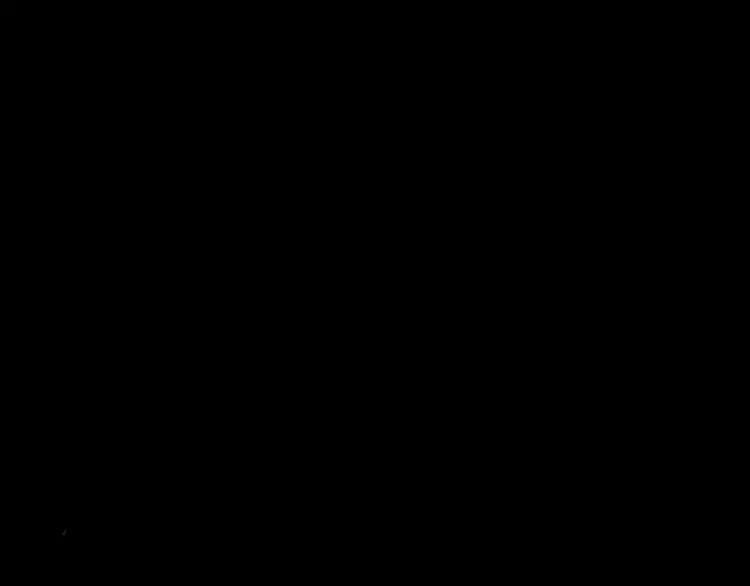番外篇 追忆 第75页