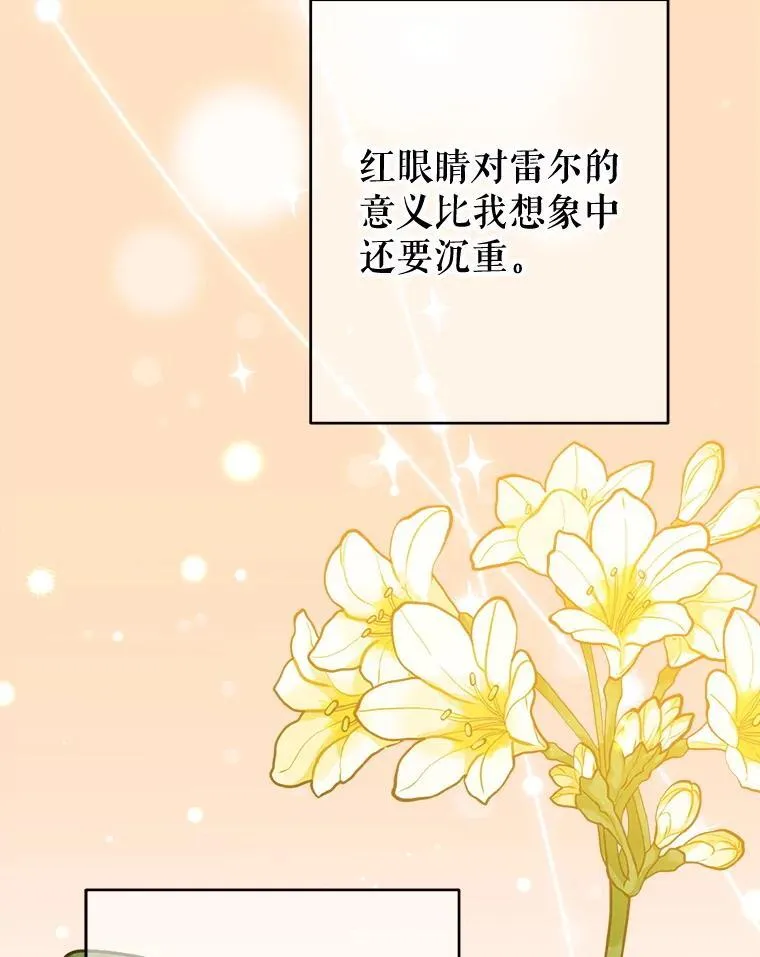 99.雷尔的过去 第95页