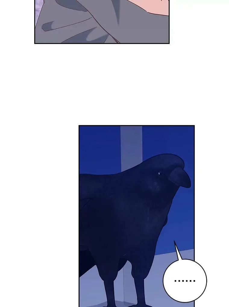 77.去世之谜 第38页