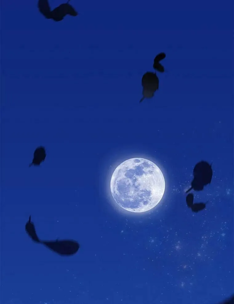 77.去世之谜 第47页