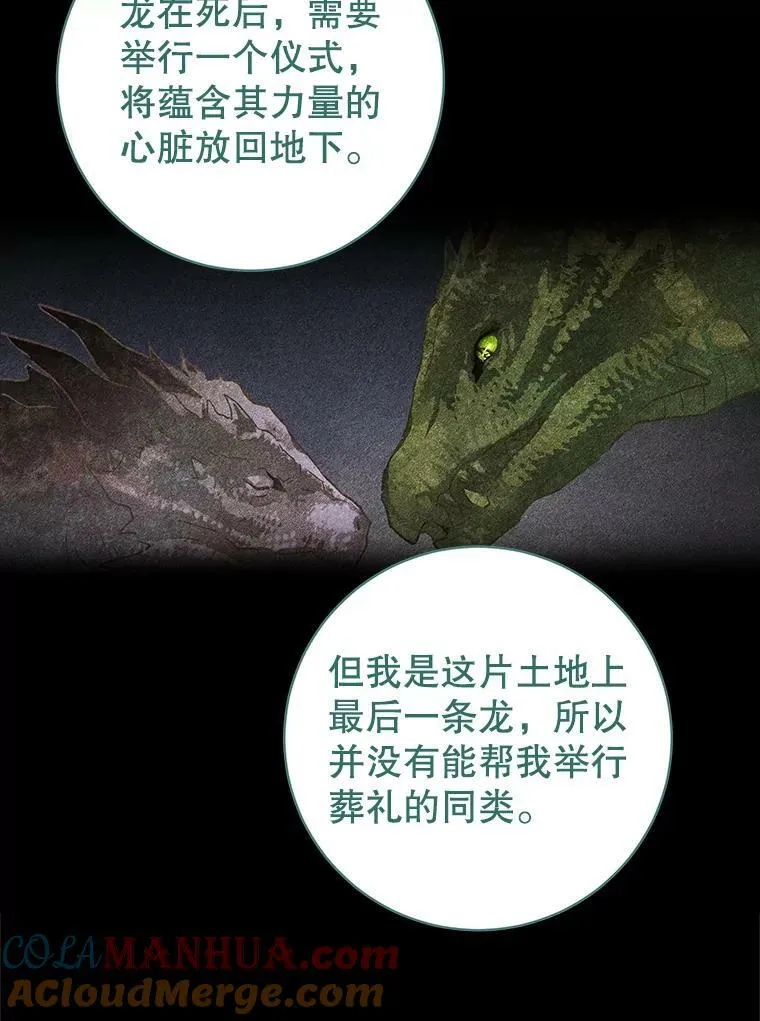 79.千年的梦 第25页