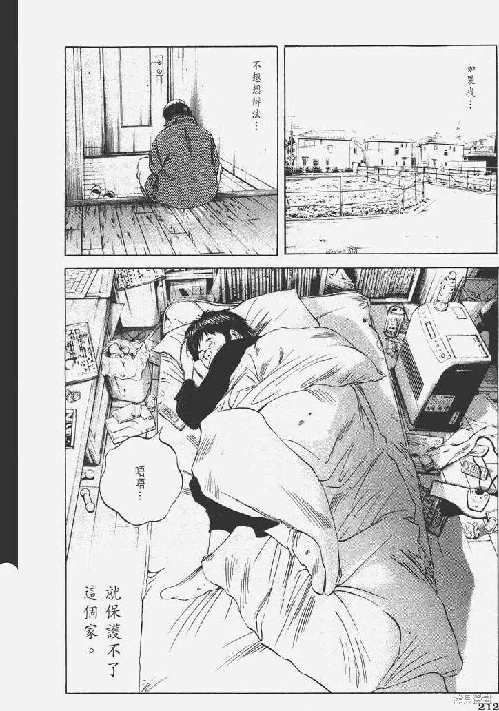 第07卷 第217页