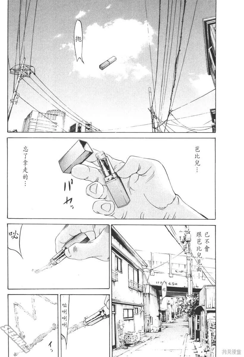 第17卷 第96页
