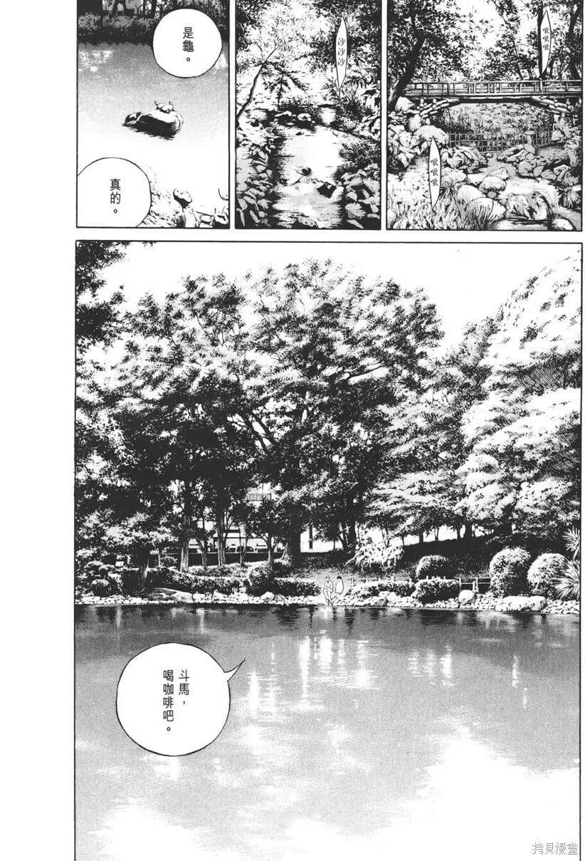 第20卷 第207页