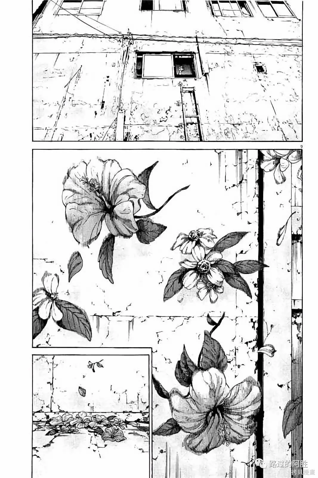 第37卷 第80页