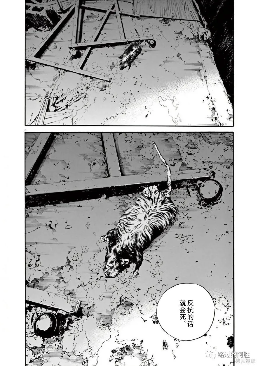 第42卷 第118页