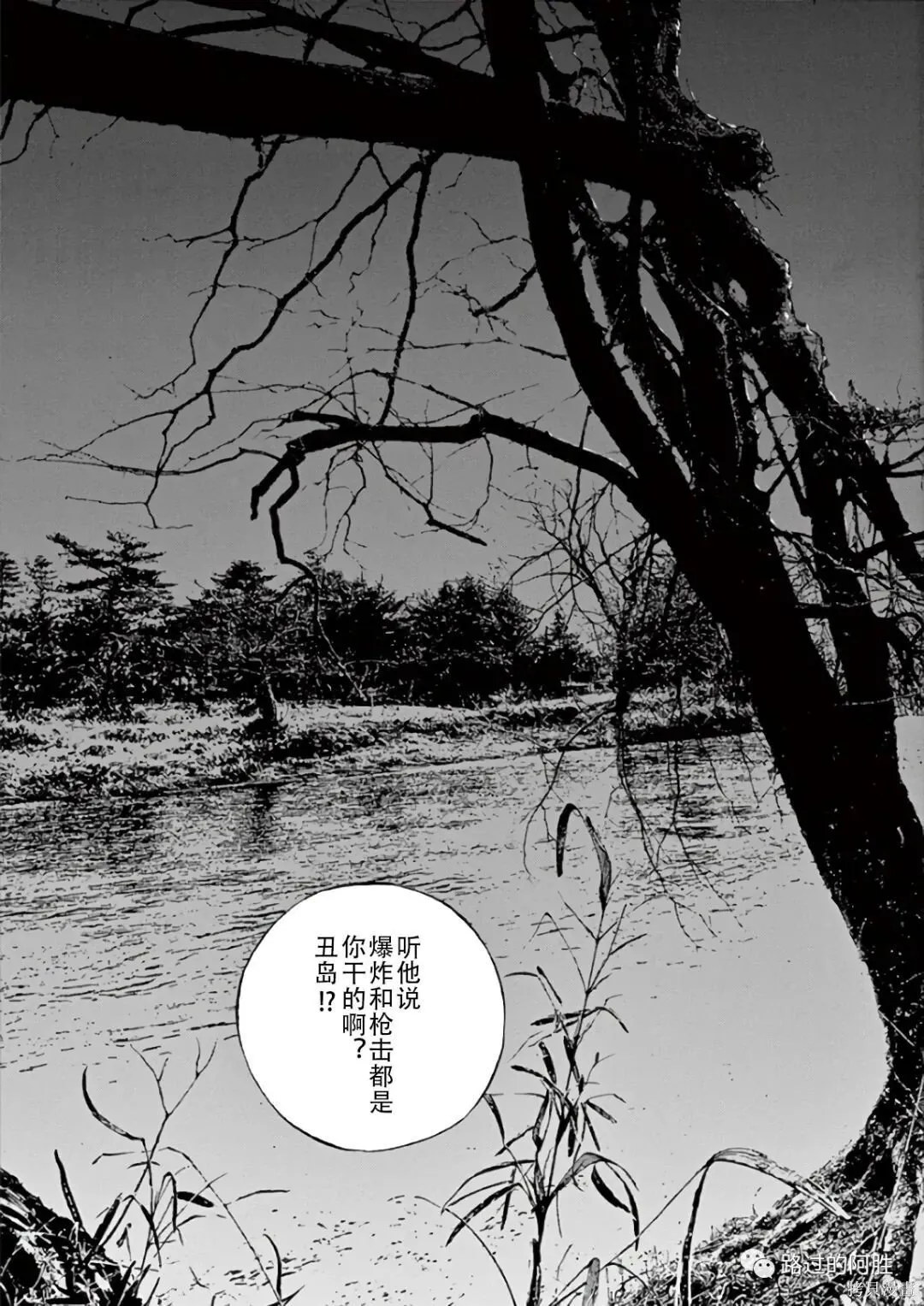 第43卷 第21页