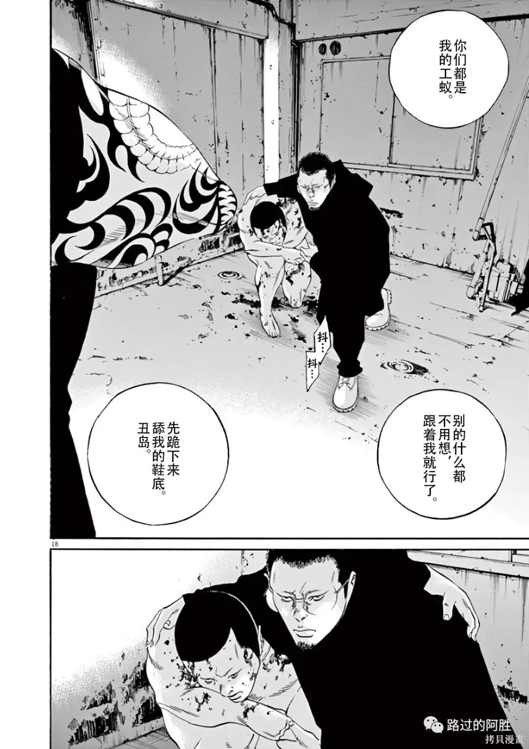 第43卷 第58页