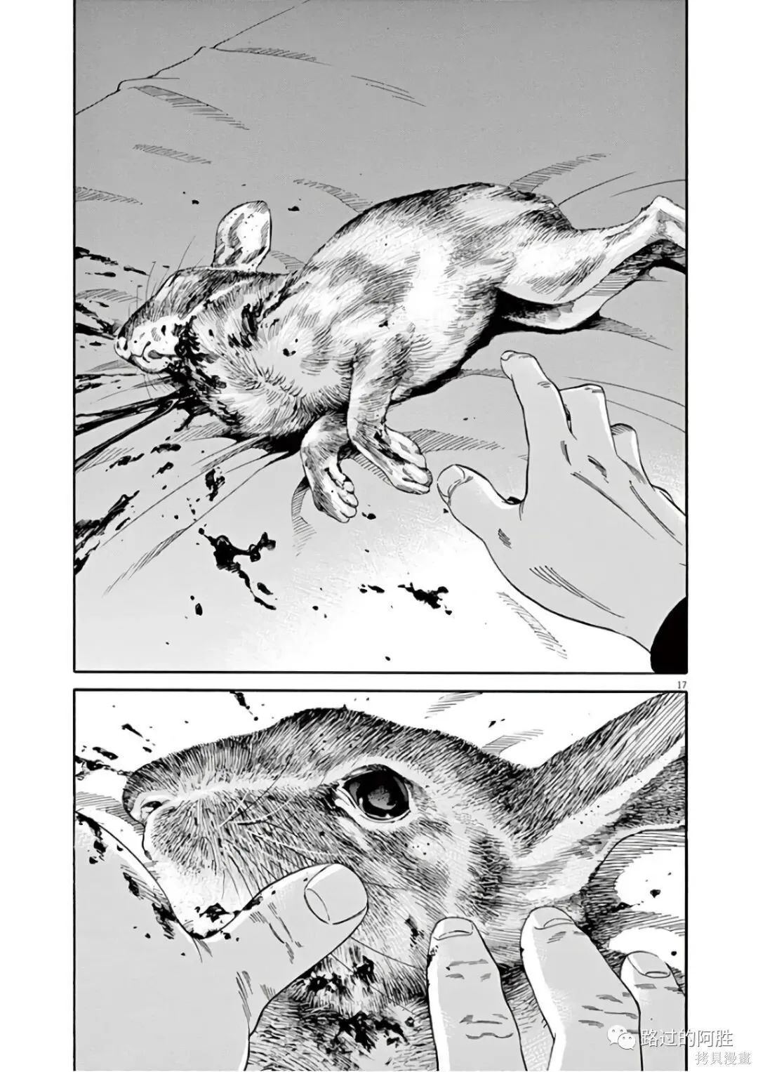 第46卷 第20页