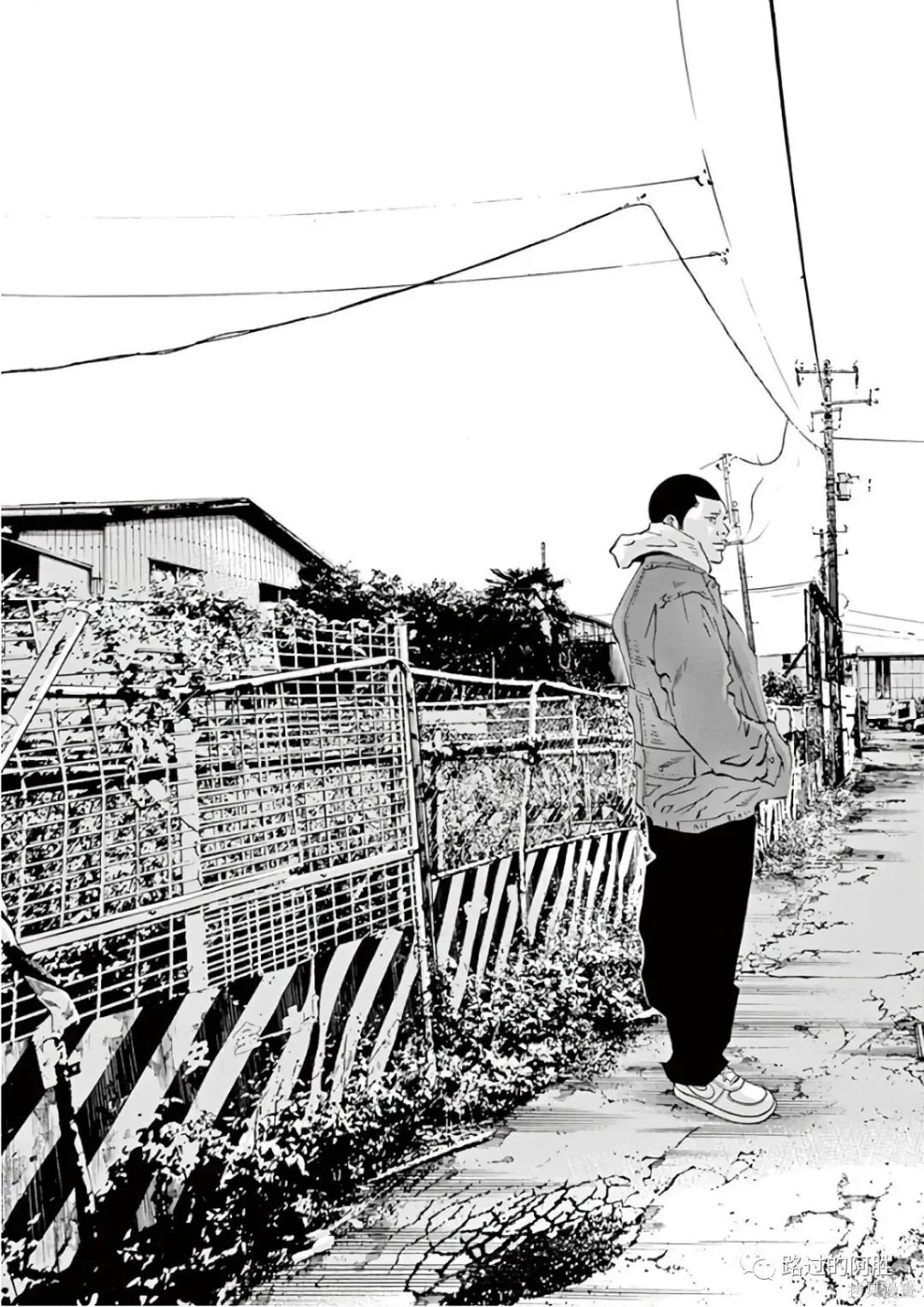 第46卷 第96页