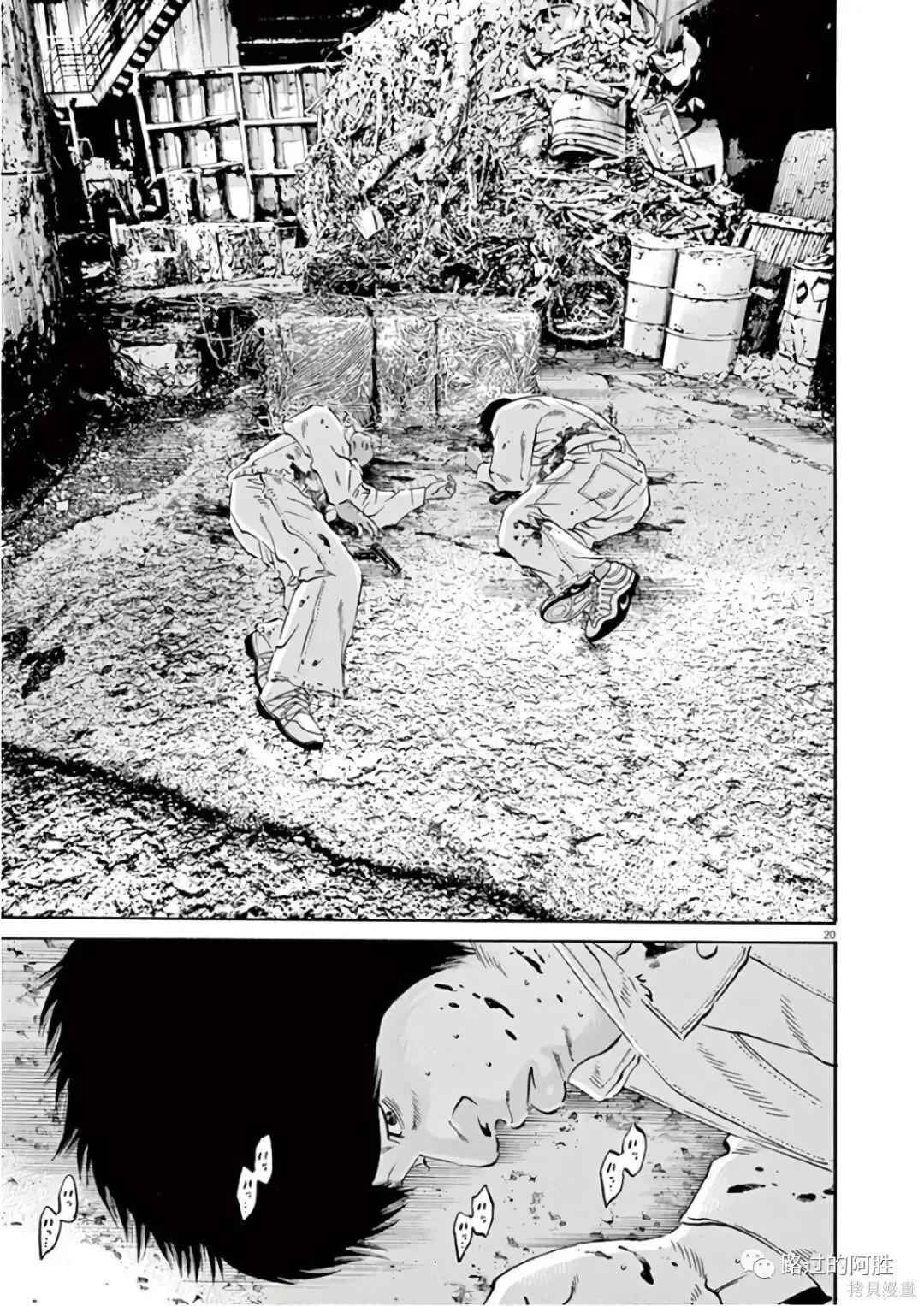 第46卷 第114页