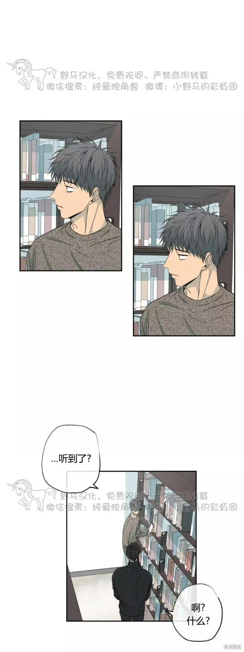 第39话 第42页
