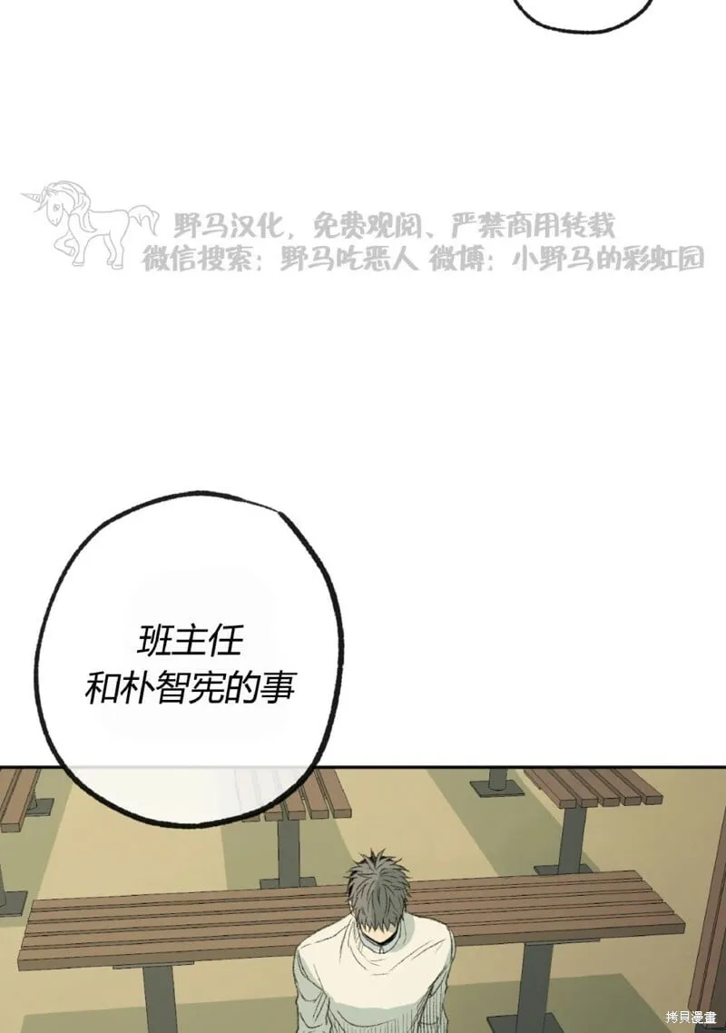 第49话 第50页