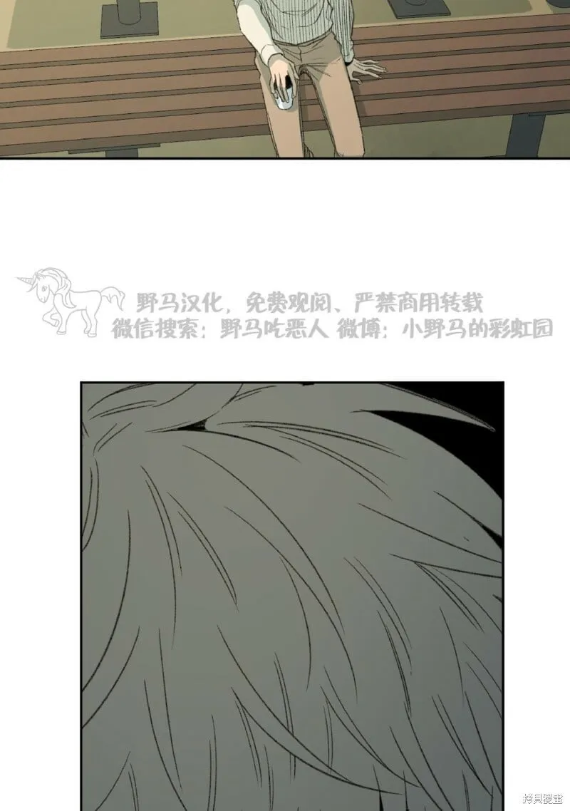第49话 第51页