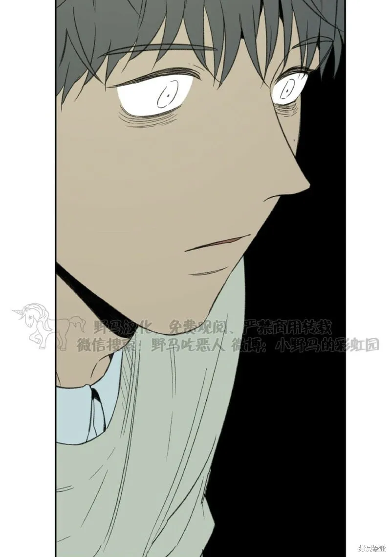 第49话 第52页