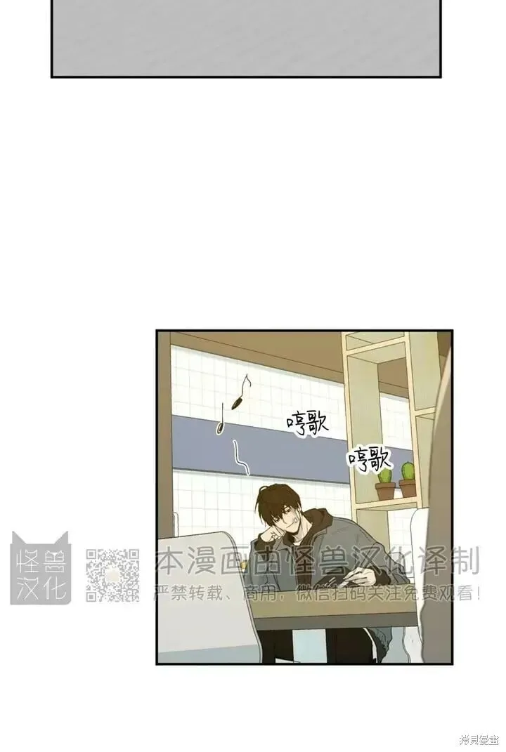 番外10 第33页