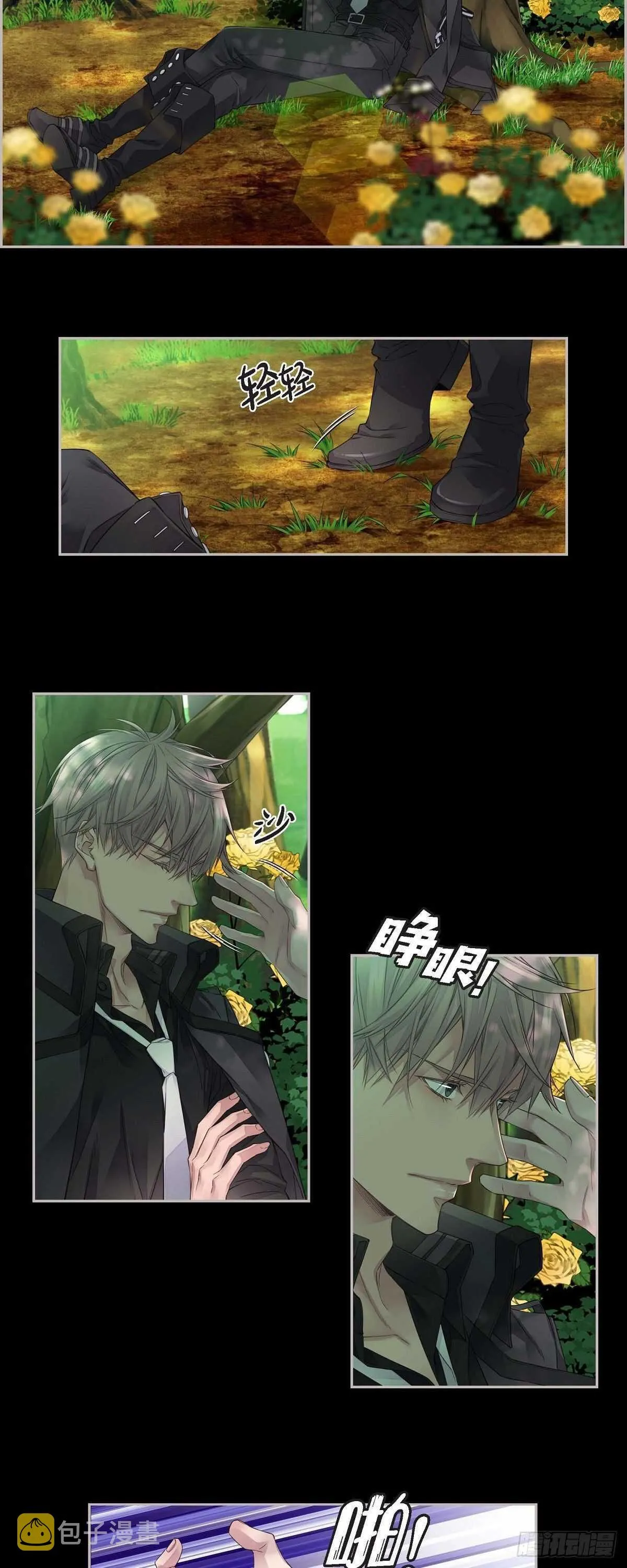 08.罗宾哥 第12页