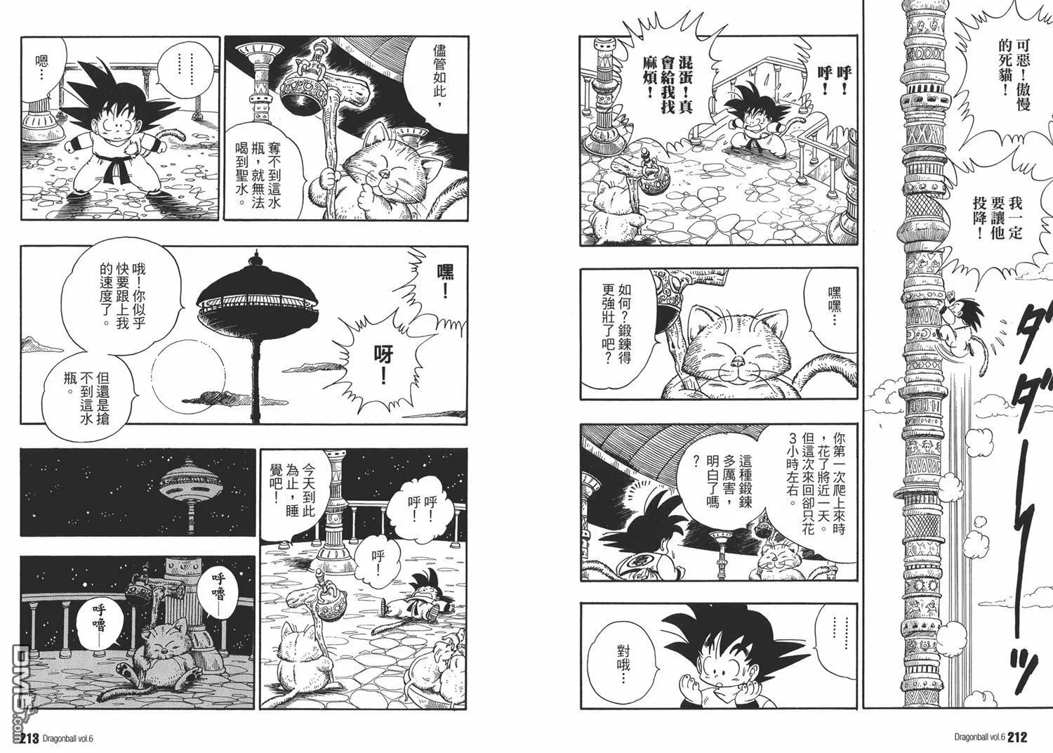 第6卷 第110页