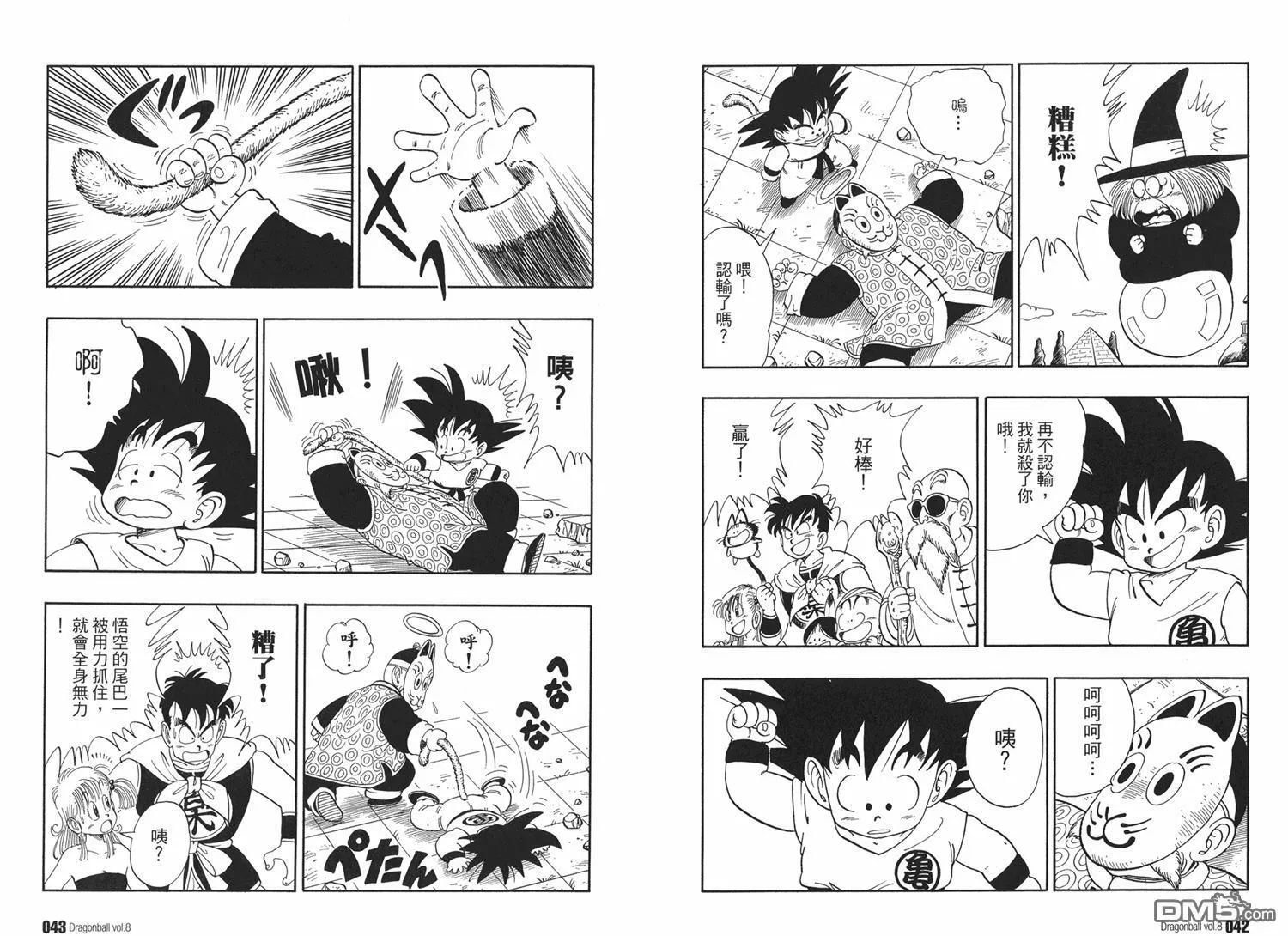 第8卷 第25页