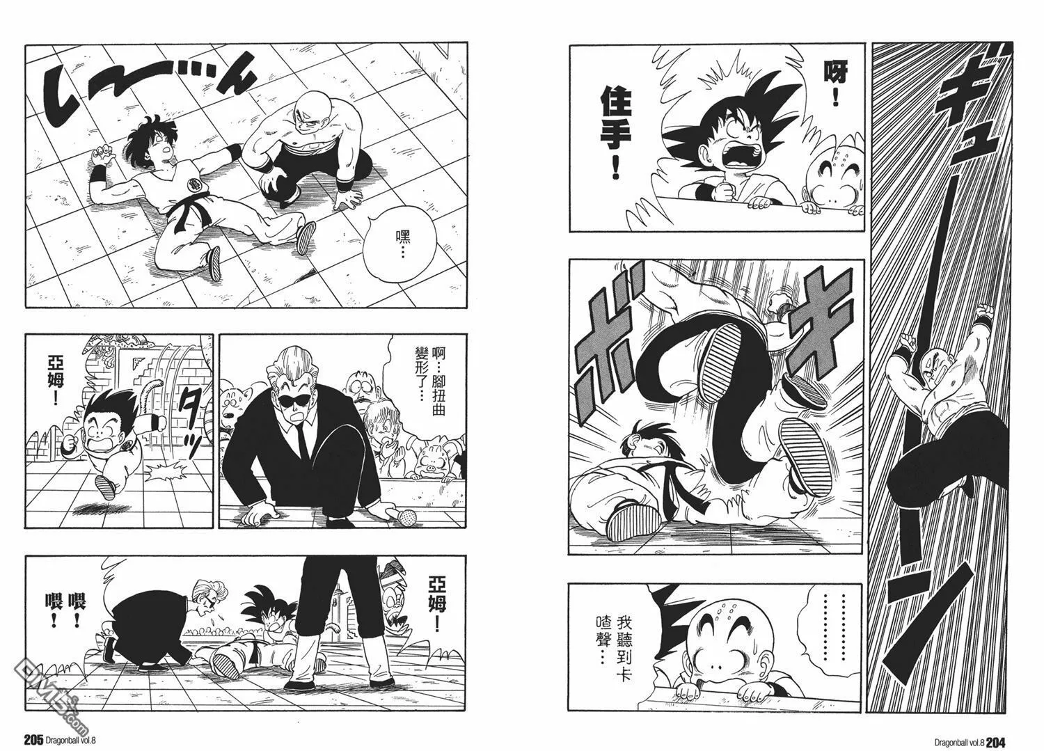 第8卷 第106页