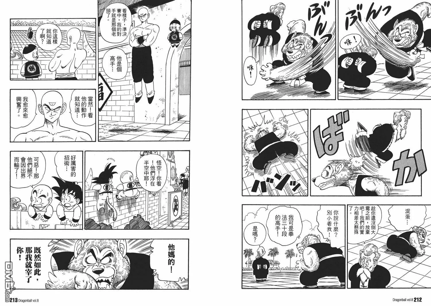 第8卷 第110页