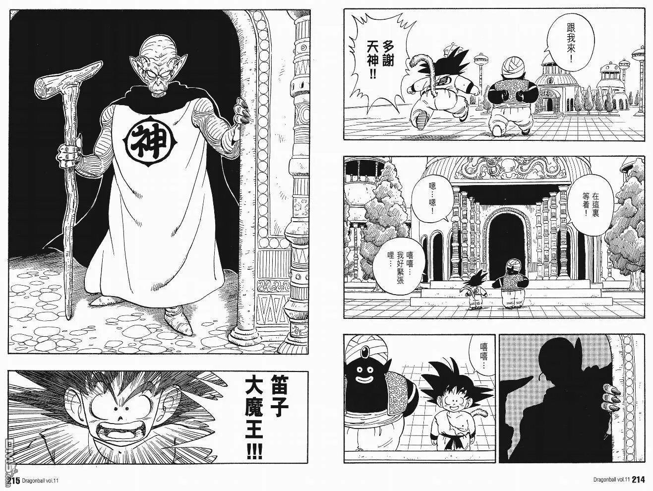 第11卷 第110页