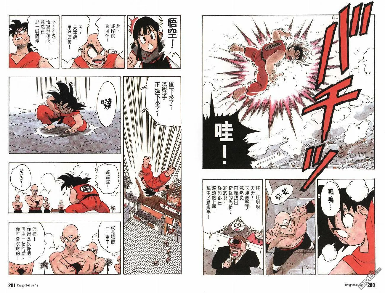 第12卷 第101页