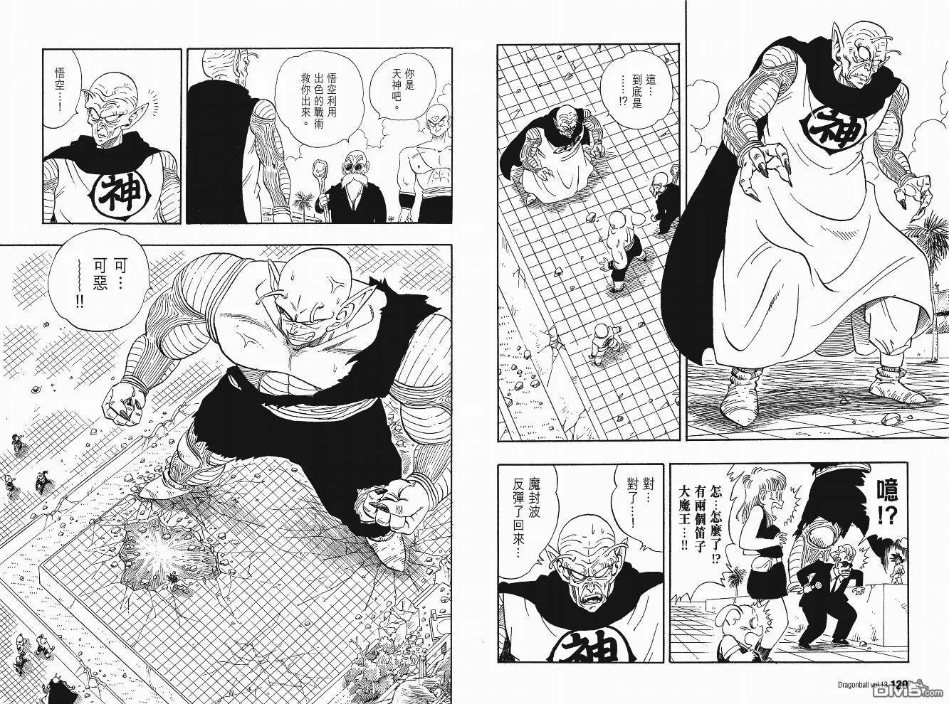 第13卷 第63页