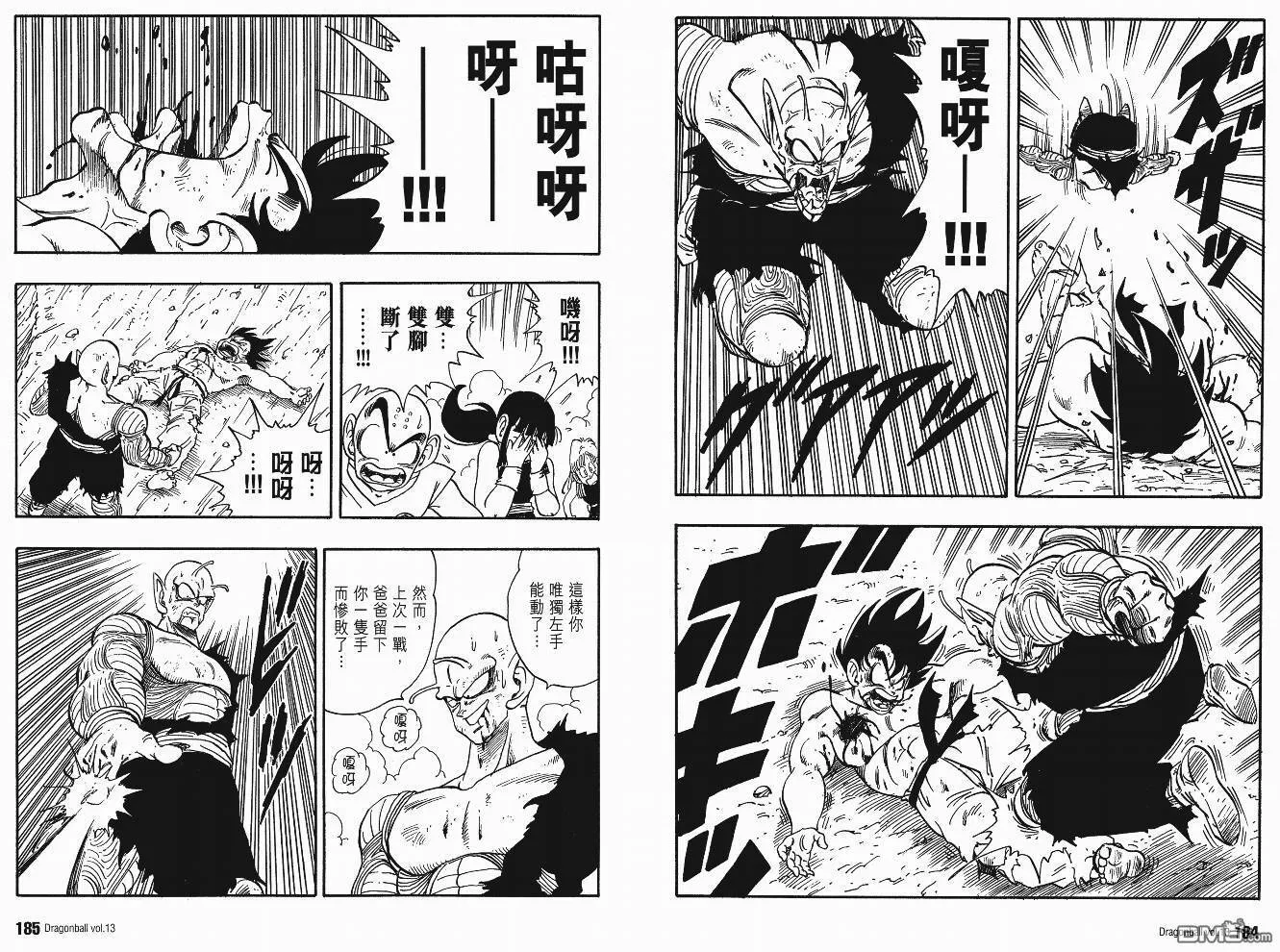 第13卷 第95页