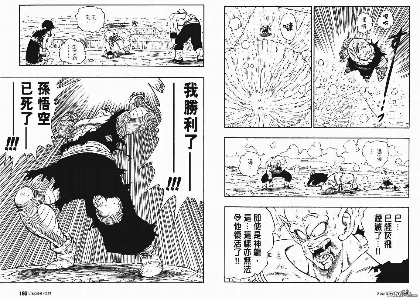 第13卷 第100页