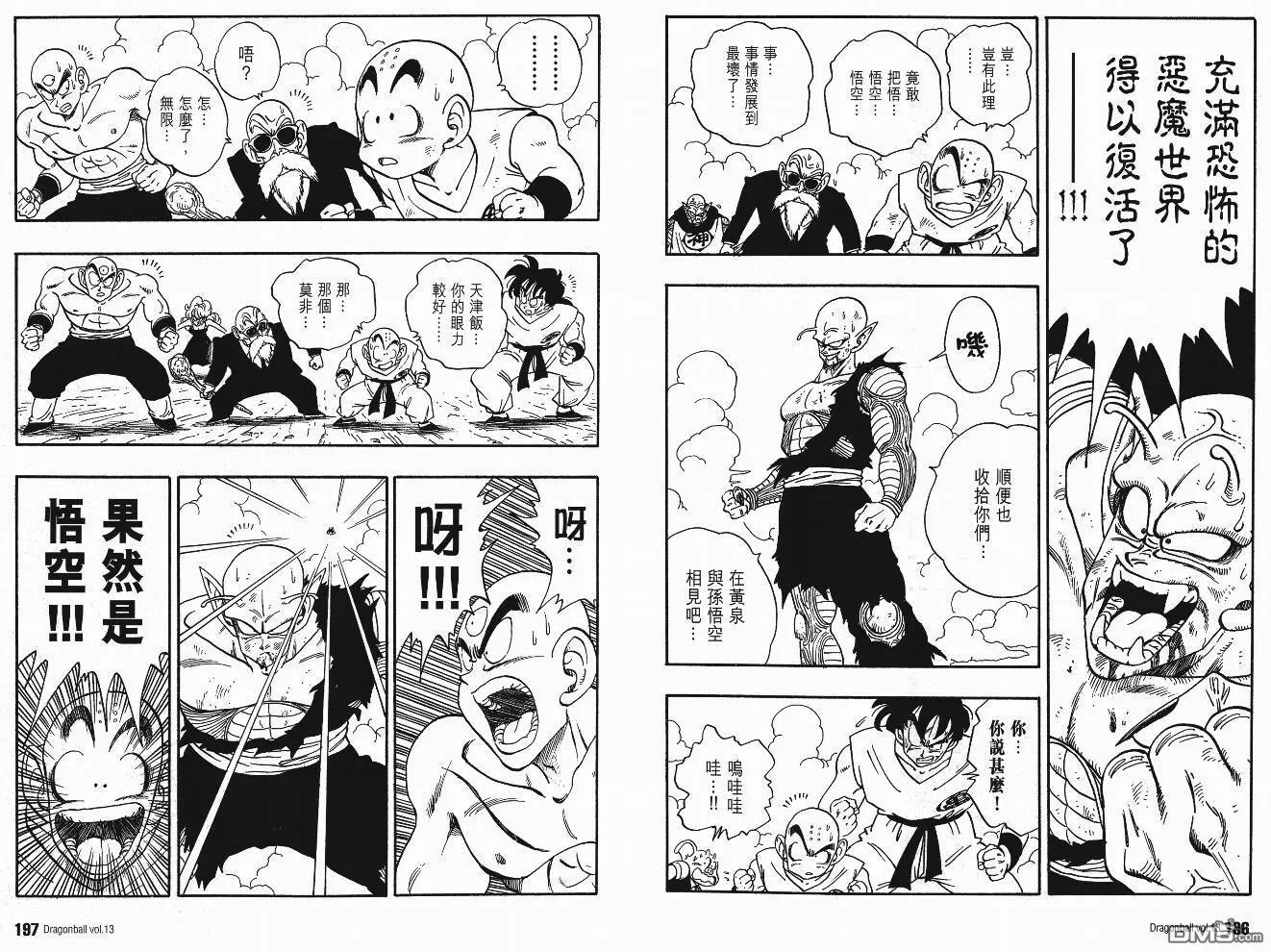 第13卷 第101页