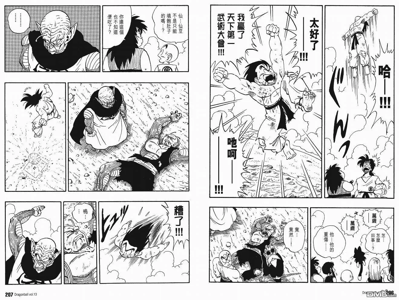 第13卷 第106页