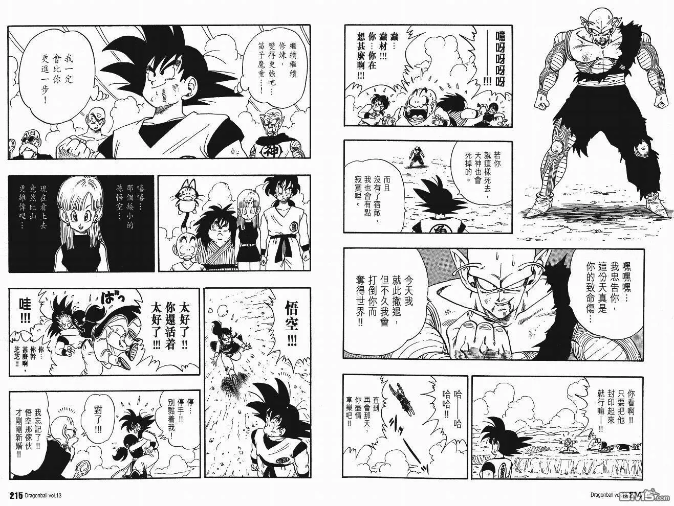 第13卷 第110页
