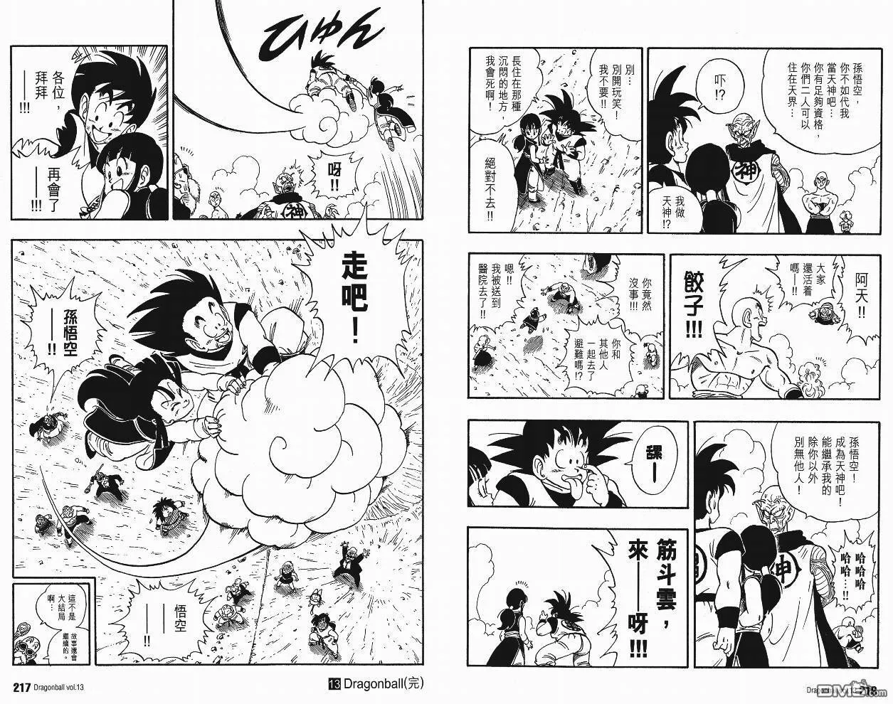 第13卷 第111页